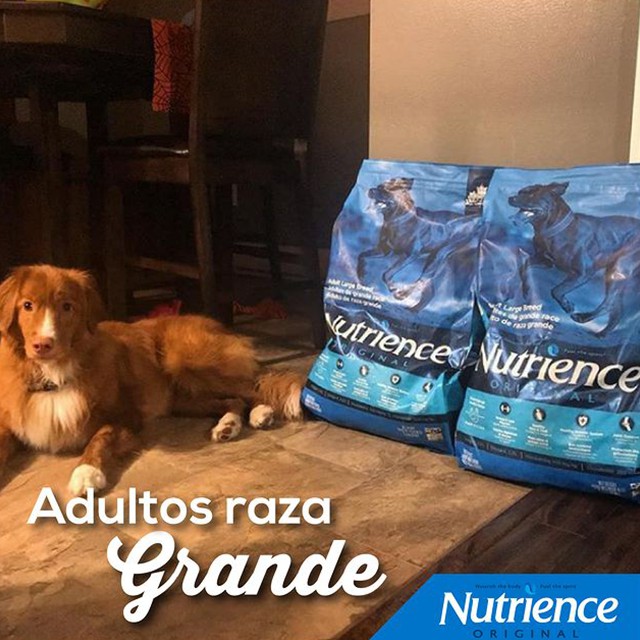 Thức Ăn Khô Cho Chó Malinois Nutrience Original Bao 11,5kg - Thịt Gà, Gạo Lứt, Rau Củ Và Trái Cây Tự Nhiên