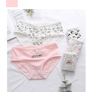 Quần lót nữ cotton mềm mại, co giãn 4 chiều ql17
