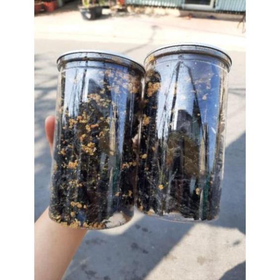 150gr Rong Biển Sấy Tỏi giòn, thơm #FREESHIP ĐƠN TỪ 50K