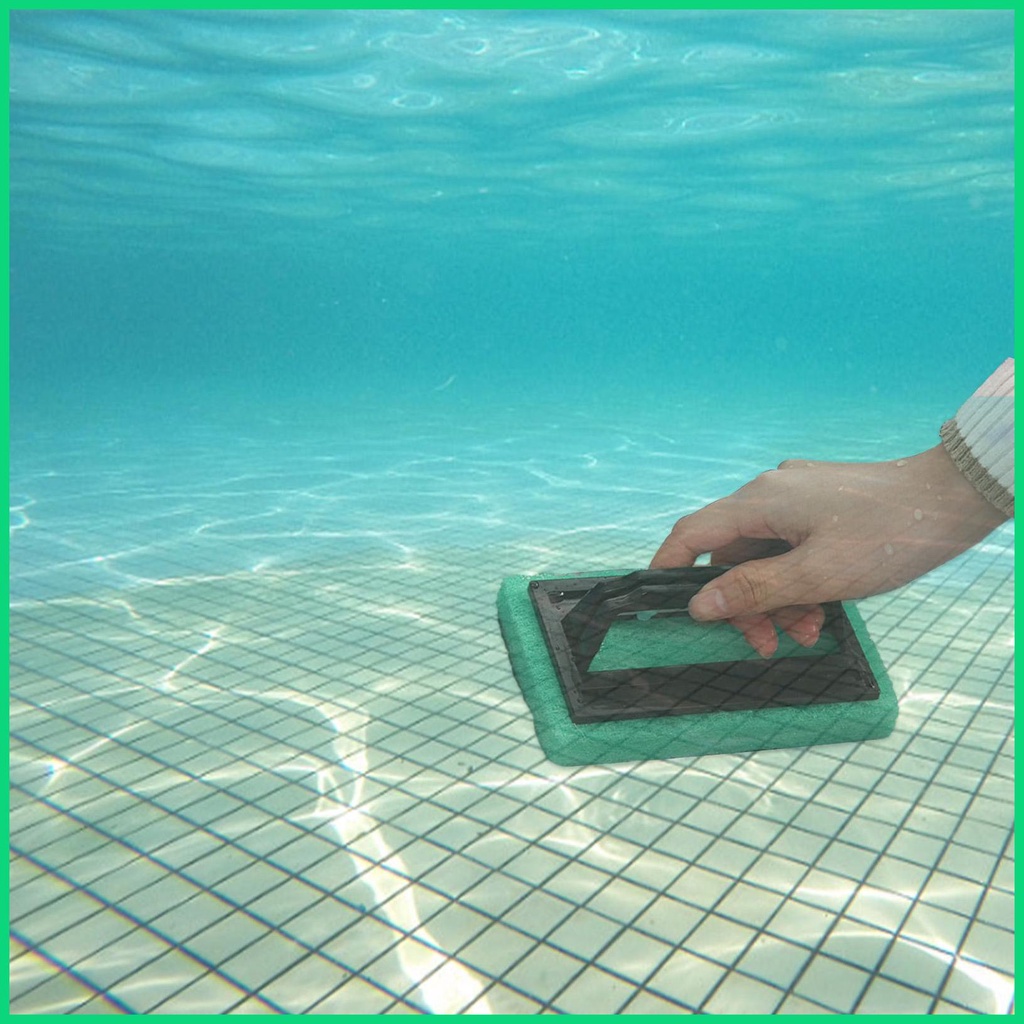 Bàn Chải Vệ Sinh Sàn Hồ Bơi Có Tay Cầm Tiện Dụng