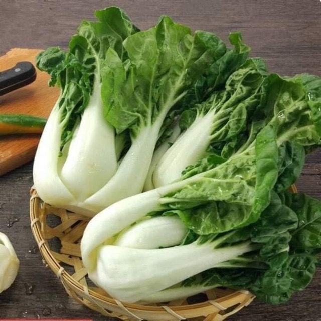 HẠT GIỐNG CẢI NGỌT SIRO