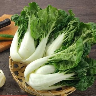 HẠT GIỐNG CẢI NGỌT SIRO