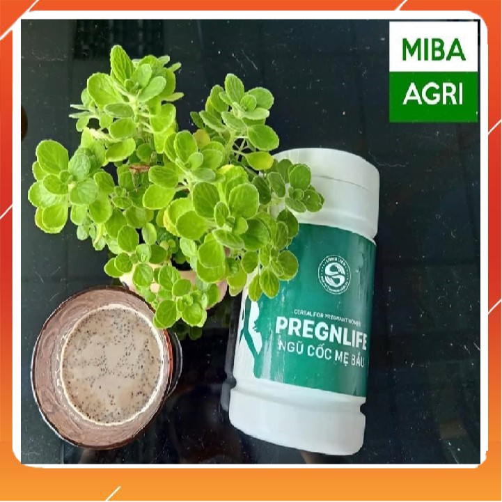 Ngũ Cốc Hạt Mẹ Bầu LONG LIÊN 100% Hữu cơ-chống táo bón-giảm nguy cơ mắc tiểu đường-ngăn ngừa dị tật bẩm sinh