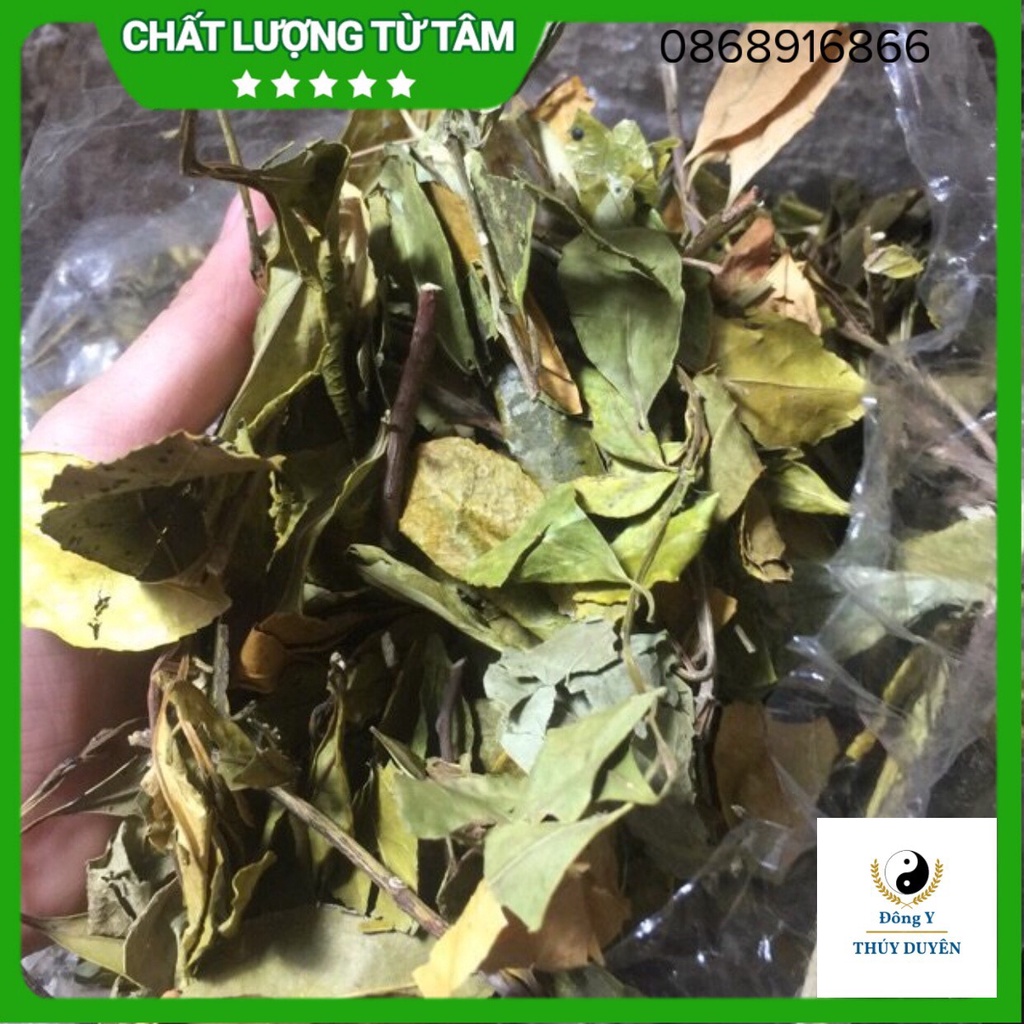 [Giá sốc] 1kg Chè Dung ( Hàng chất lượng loại 1)