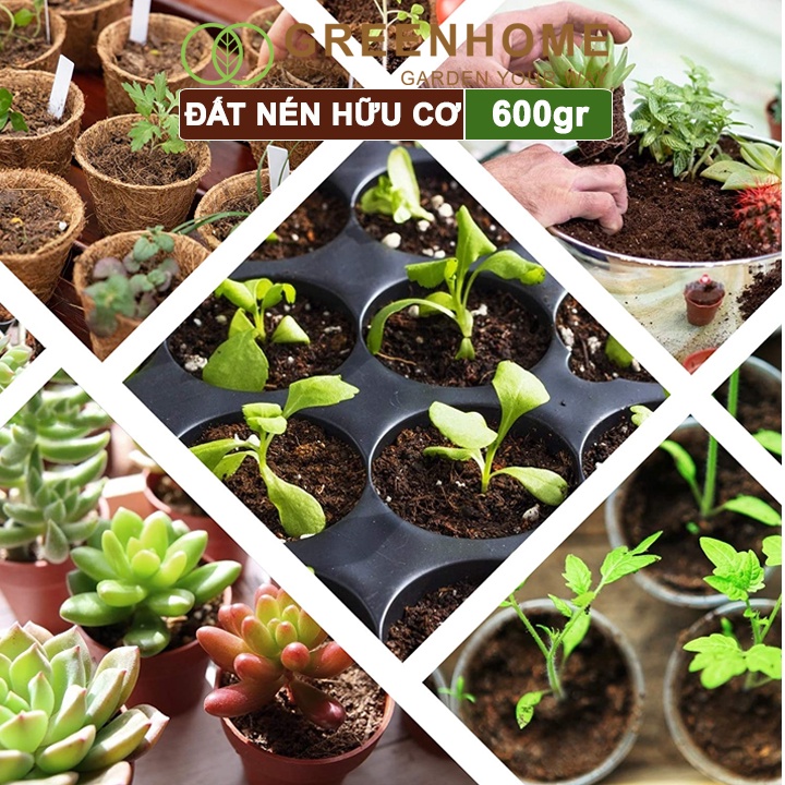 Đất nén hữu cơ, 600gr Greenhome, mụn sơ dừa bánh lớn đã qua xử lý, nở gấp 5 lần, trồng rau, trộn giá thể trồng cây