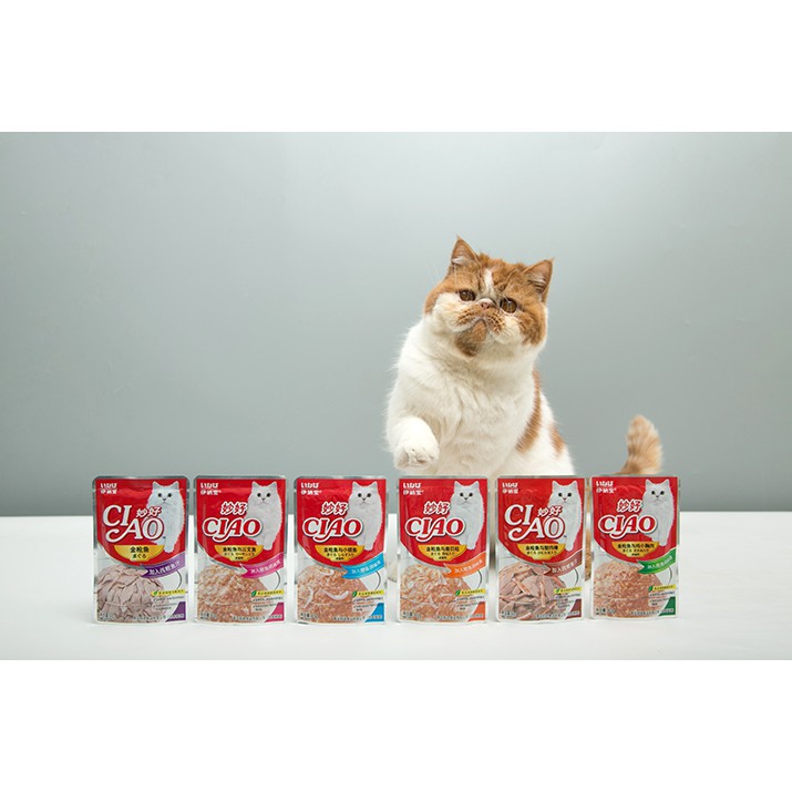 [Thanh lý} Combo 5 gói Pate mèo CIAO gói 60g (Date 10/2023) (Giao vị ngẫu nhiên)