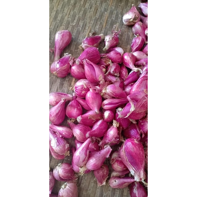 HÀNH TÍM LÝ SƠN QUẢNG NGÃI