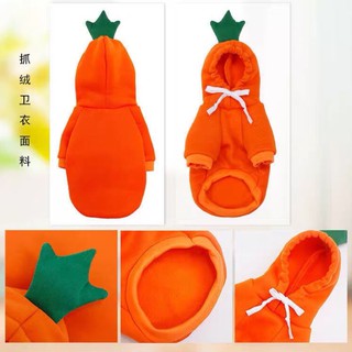 Áo nỉ cho chó mèo