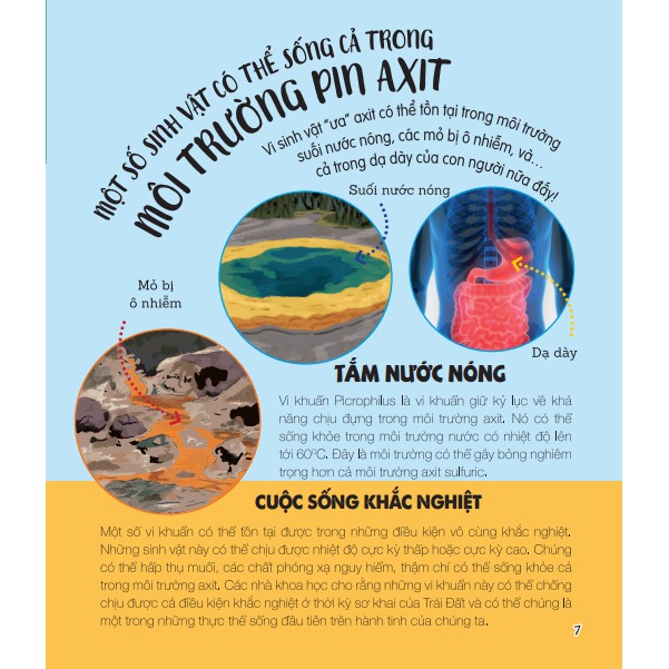 Sách - Micro Facts ! Cùng Bé Khám Phá 500 Điều Thú Vị Về Khoa Học