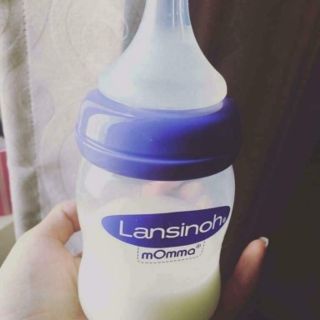 Bình sữa Lansinoh 160ml và 240ml
