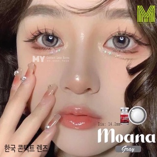 Kính áp tròng Contact Lens gray, brown