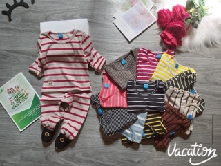 Combo 3 Bộ cotton len loại 1