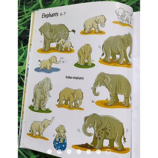 Dính dán - Usborne sticker book - Zoo