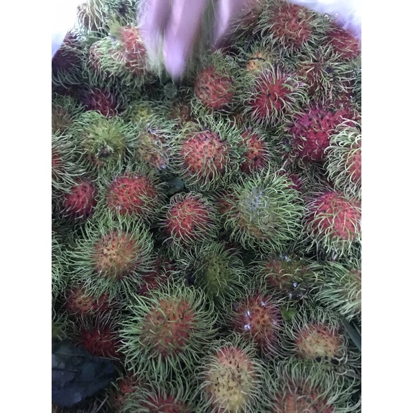 Chôm Chôm Thái Siêu Tươi Ngon Giao Tận Nơi