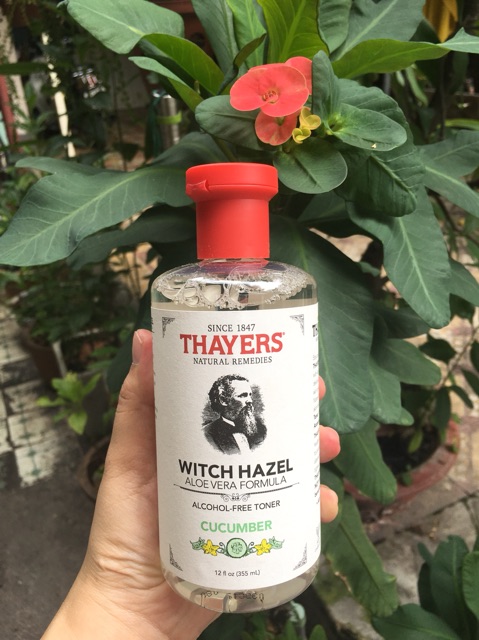 Nước Hoa Hồng Thayers