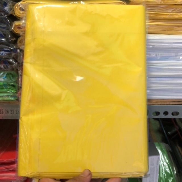 1kg Túi Hột Xoài