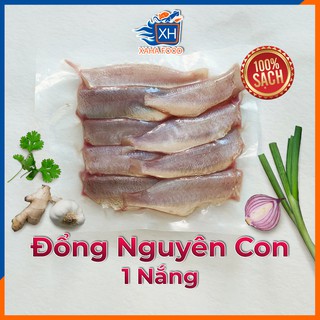 Cá đổng 1 nắng, loại hảo hạng, cá biển Vũng Tàu, ship Sài Gòn siêu tốc 1-2h