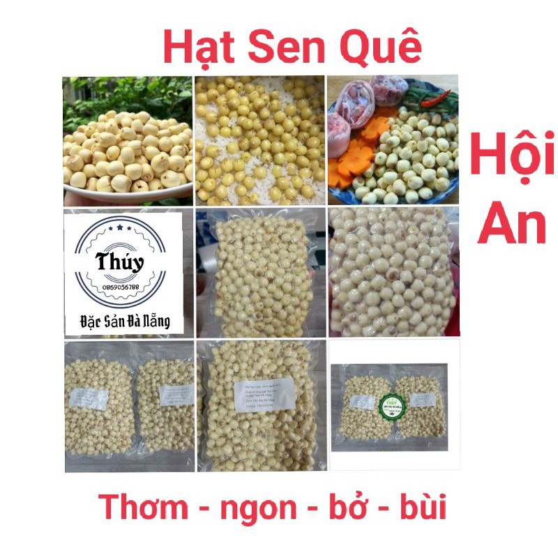 Hạt sen tươi quê Hội An túi 500gr  đã tách vỏ bỏ tâm - siêu ngon siêu bở siêu tốt