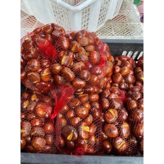 (Bán buôn)Hạt dẻ tươi
