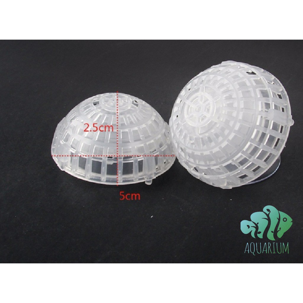 Cục rêu bay trang trí bể cá ( không bao gồm rêu )