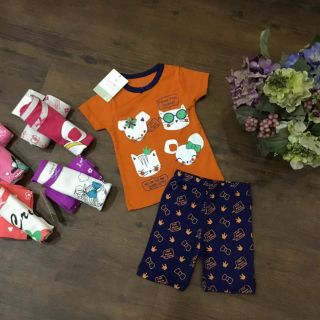 Combo 5b alibaba chị trang