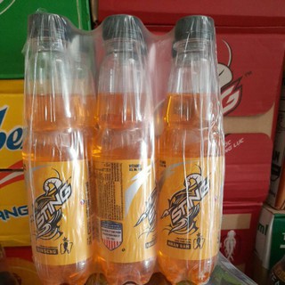 Sting vàng nhân sâm