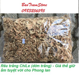 Rêu trắng ChiLe - Giá thể giữ ẩm tuyệt vời cho phong lan, gói 300g