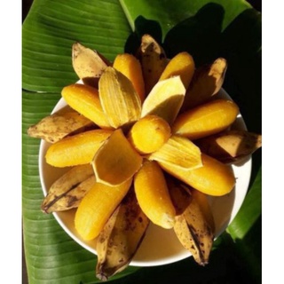 Chuối sáp ngon 3kg