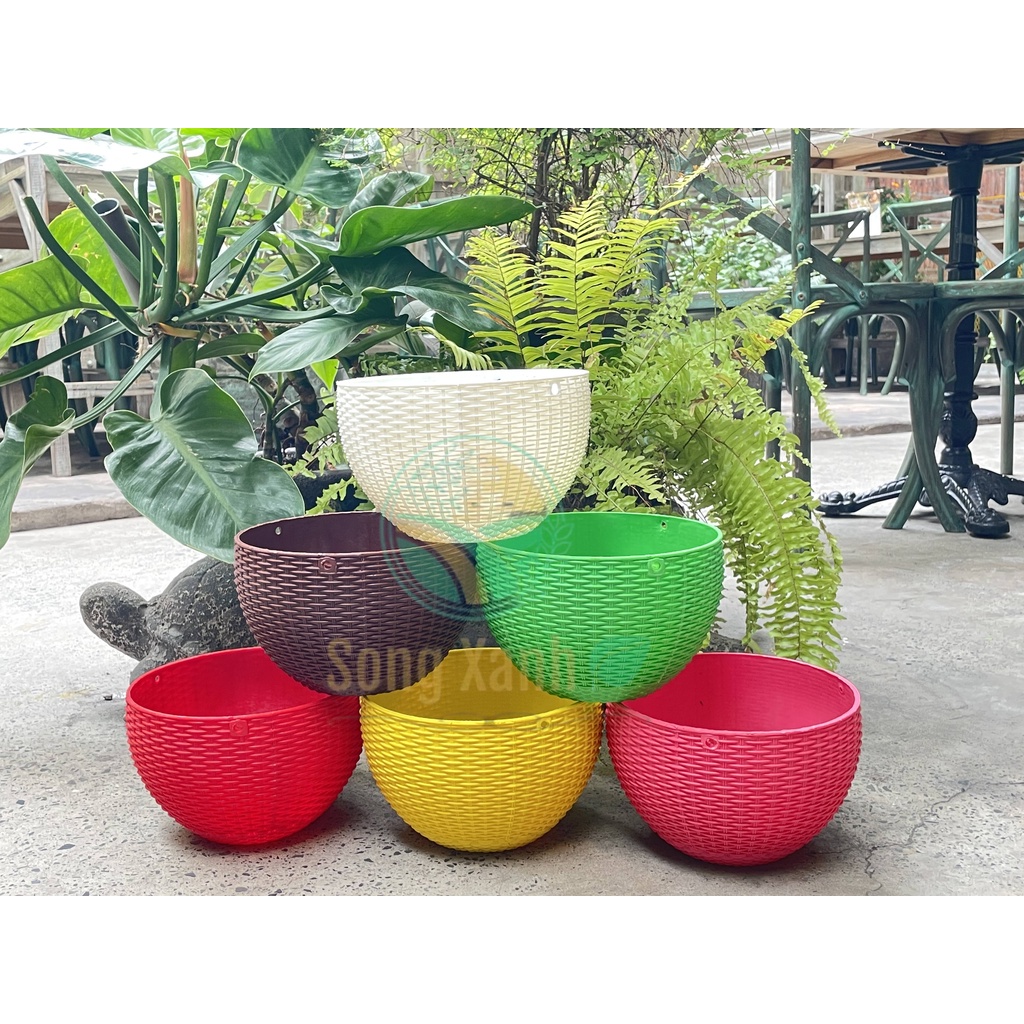 Combo 6 Chậu Nhựa Trồng Cây Họa Tiết Vân Mây .