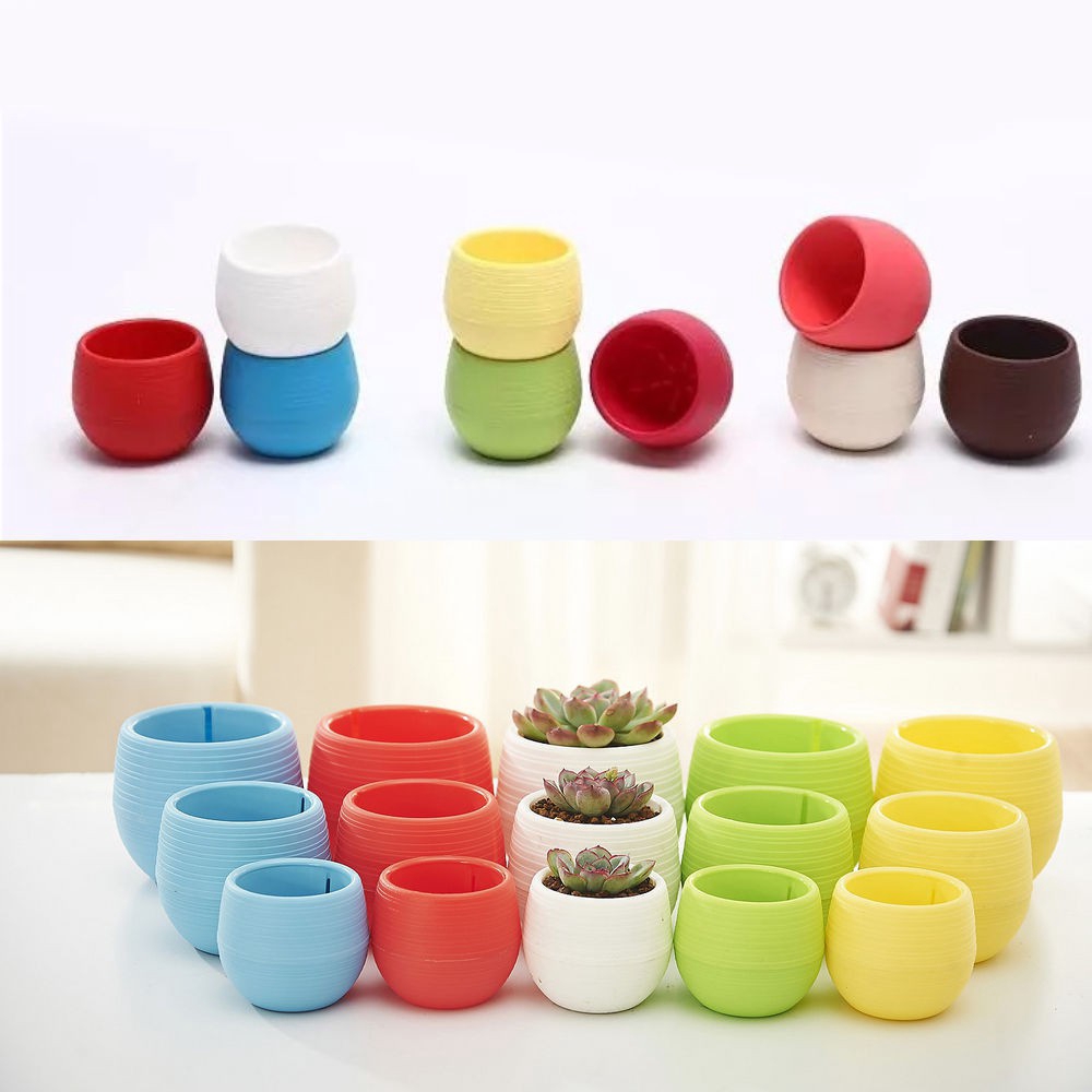 Chậu trồng cây hoa bằng nhựa nhỏ gọn tiện lợi