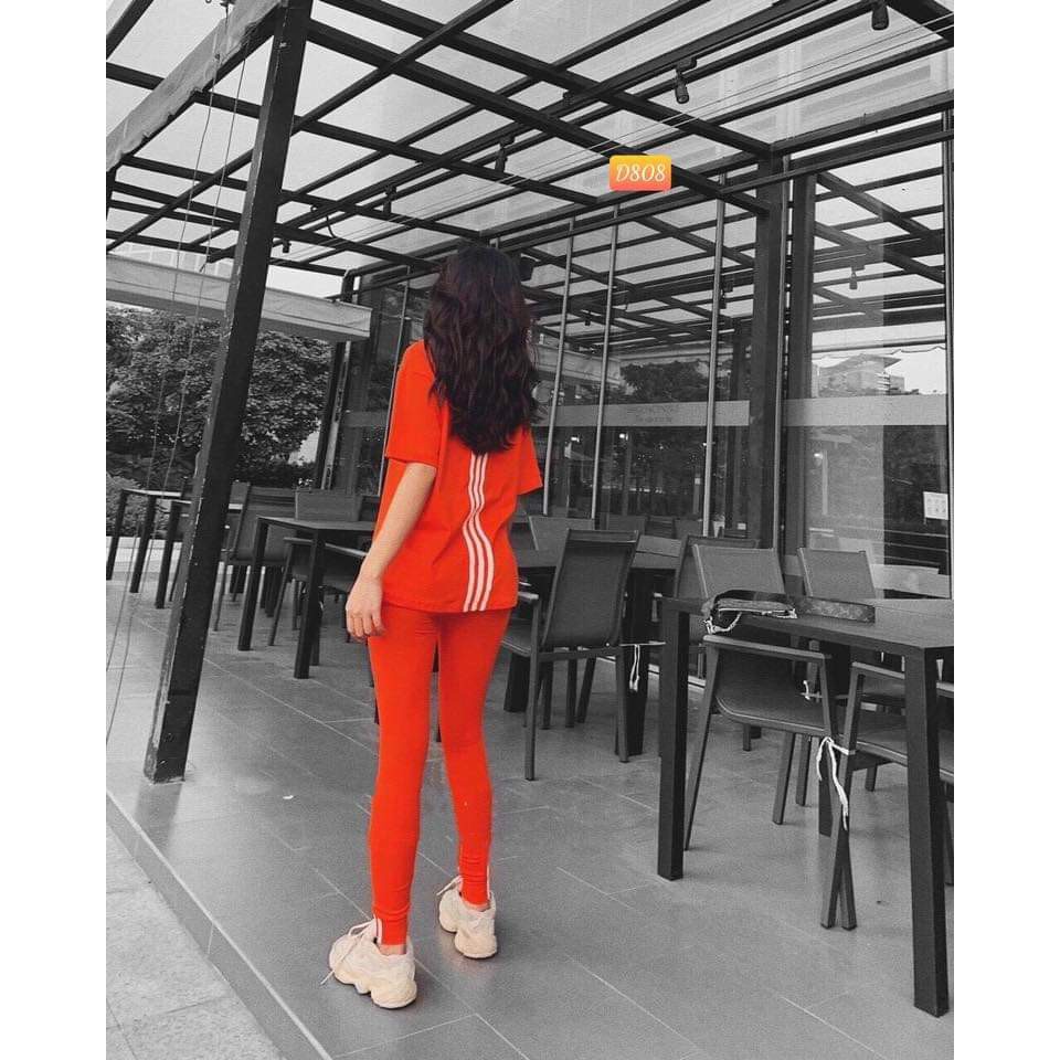 Đồ Bộ Thể Thao Cao Cấp, Thun Cotton 100%, 45kg đến 80kg vừa, P015 | BigBuy360 - bigbuy360.vn