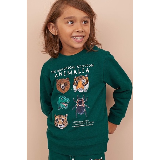 Bộ Nỉ Bé Trai Animal Xanh Lá Đậm HaM(bán lẻ áo lẻ quần)