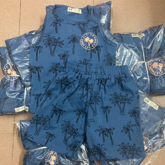 Bộ HM bé trai thun cotton