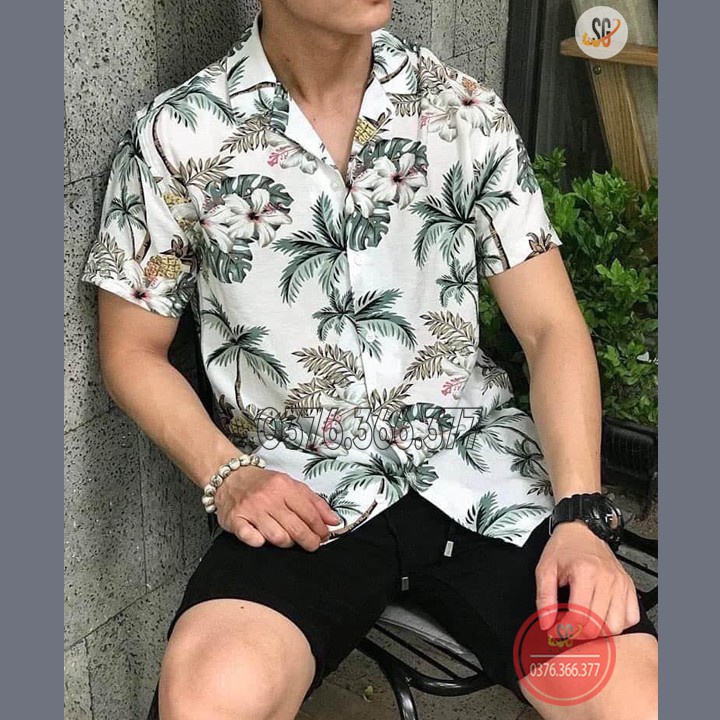 Nguyên Bộ Sơ Mi Đi Biển Cao Cấp - Đủ Size Cho Cả Nhà  - Chất Vải Kate Thái Mát Mẻ  Áo thun giá sỉ