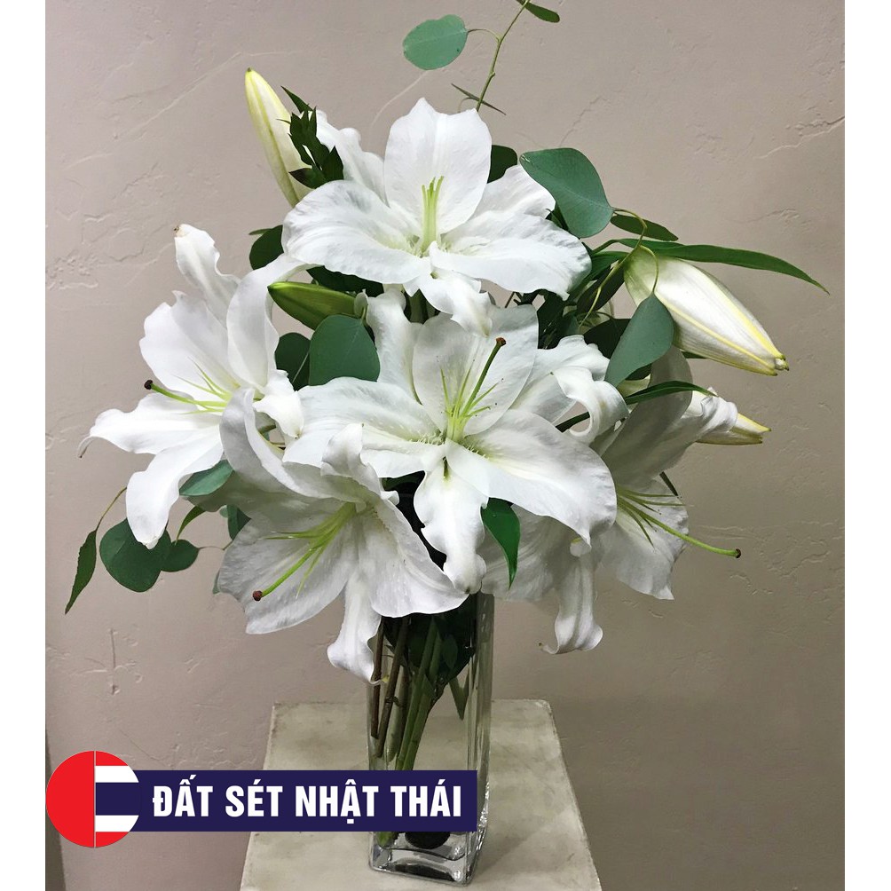 GÂN HOA LILY ĐẤT SÉT, GÂN HOA ĐƯỜNG, XÔI HOA LY ĐẬU SIICONE