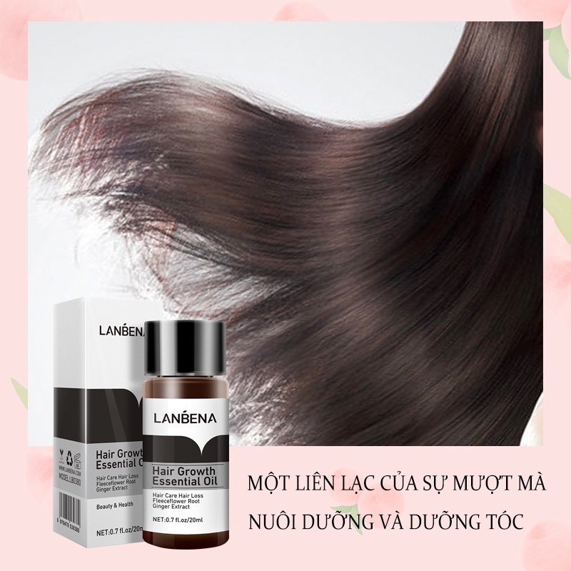 Tinh Chất Kích Thích Mọc Tóc Dưỡng Tóc Chuyên Sâu Mọc Nhanh Giảm Gãy Rụng Lanbena Hair Growth Oil 20Ml KB-LB-HLJY01