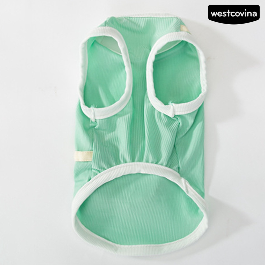 [Mới]♞Áo Sơ Mi Hình Khủng Long Thu Hút Dành Cho Cún Cưng