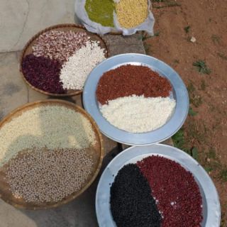 Ngũ cốc lợi sữa Minh An
