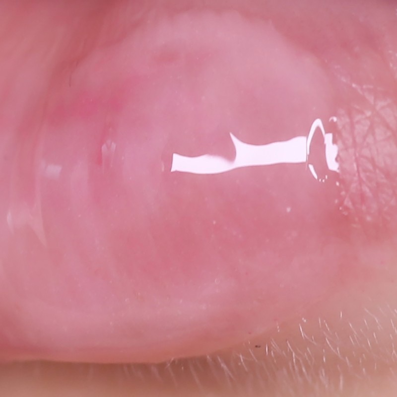 Mặt Nạ Ngủ Môi Laneige Lip Sleeping Mask Mini 8g | BigBuy360 - bigbuy360.vn