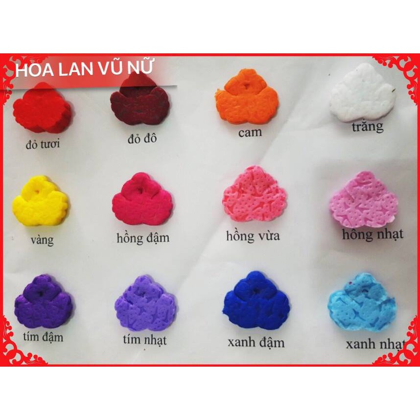Hoa lan vũ nữ dây,bộ nguyên liệu 35k/bộ.combo 300k