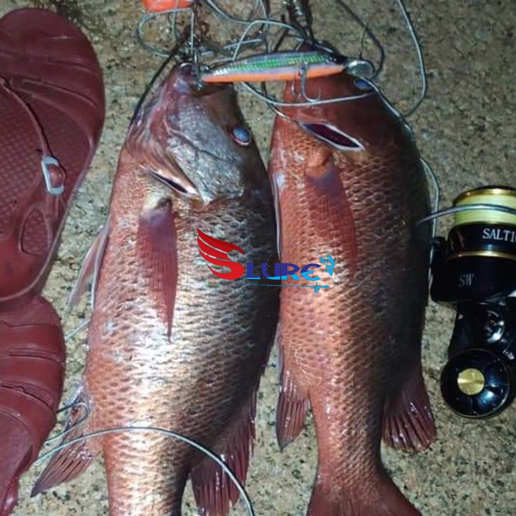 Mồi giả, mồi lure ghềnh, Samurai 26g chính hãng, Slure, câu cá Hồng, cá Nhồng, cá Bè , cá mú...