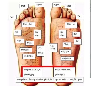 Miếng dán chân thải độc LaoBeiJing 100 miếng