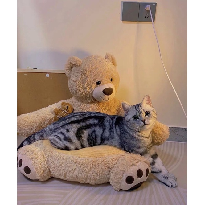 [Giặt được máy giặt] Ổ đệm nằm cho thú cưng mẫu gấu Teddy siêu cưng