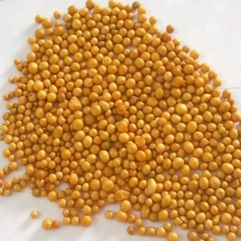 Phân tan chậm Osmocote 14-14-14