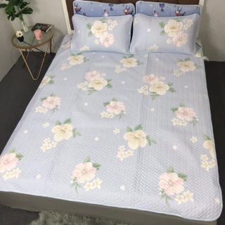 Chiếu Tencel Loại 1 (3 lớp) hàng dày dặn -> kèm tem mác túi đựng (được chọn mẫu)