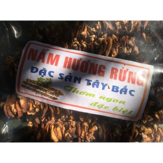 Nấm hương rừng