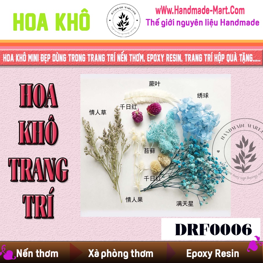 Hoa khô trang trí mini dùng để tạo sản phẩm nến thơm hay epoxy resin - Hoa khô handmade giá rẻ – Nguyên liệu hoa khô