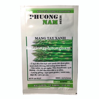 40H - HẠT GIỐNG MĂNG TÂY