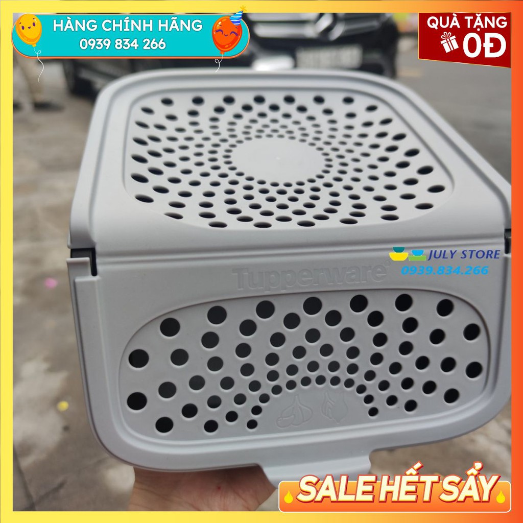 Dụng cụ trữ hành tỏi ❤️ Freeship Extra ❤️Tupperware