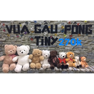 Gấu bông teddy 20-55cm nguyên set 9 con